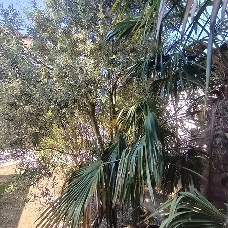 شاليه Les Buis Saint-Paul-lès-Romans